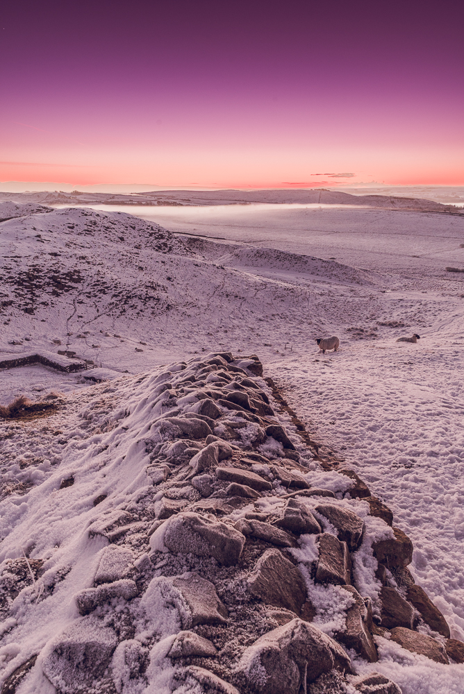 Northumberland photograph